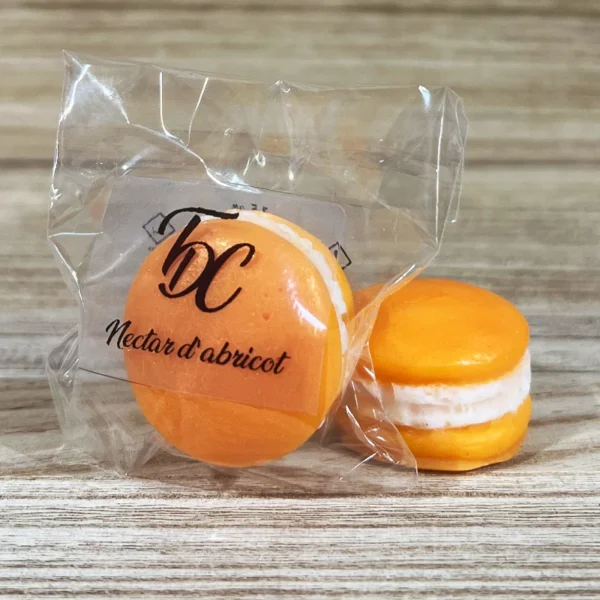 Fondant Macaron